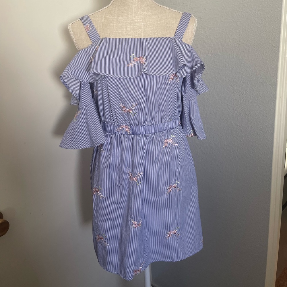 Woman's Blue striped Embroidered Floral Dress